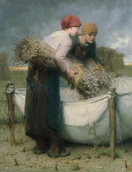 Vrouwen in het veld, 1882